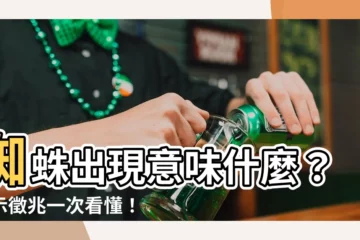 【蜘蛛出現意味】蜘蛛出現意味什麼？預示徵兆一次看懂！