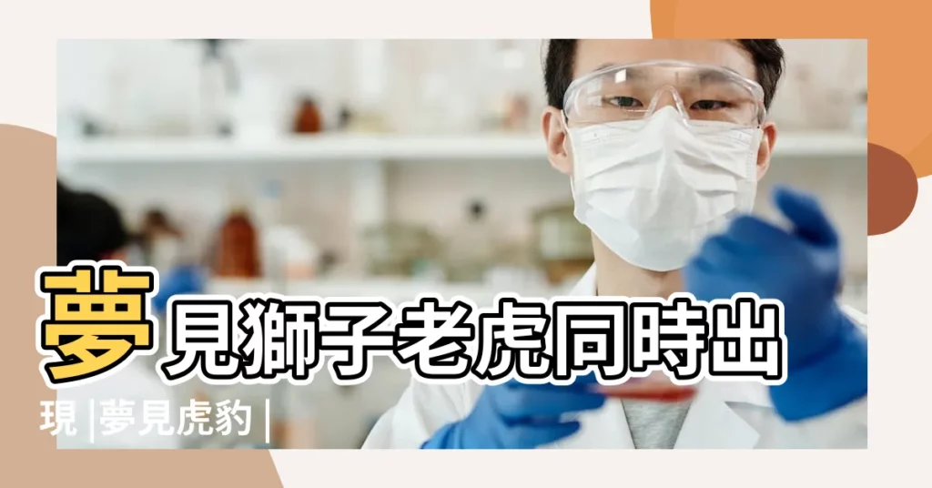 夢見獅子老虎同時出現 |夢見虎豹 |夢見獅子老虎豹子 |【夢見老虎獅子黑豹】