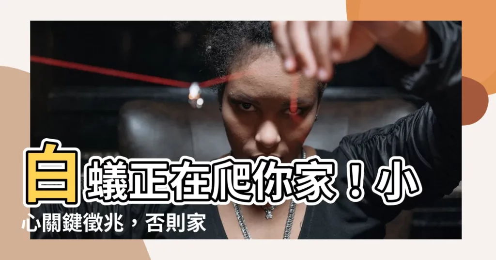 【白蟻徵兆】白蟻正在爬你家！小心關鍵徵兆，否則家當恐毀於一旦