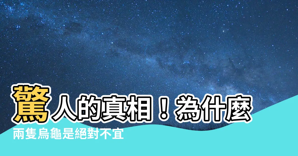 【兩隻烏龜】驚人的真相！為什麼兩隻烏龜是絕對不宜的選擇？