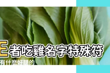 【夢打頭遊戲名字大全】王者吃雞名字特殊符號 |有什麼好聽的遊戲ID名字 |網路搞笑ID收集 |