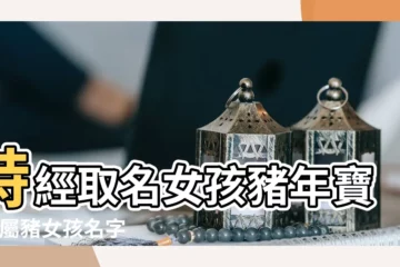 【詩經取名女孩豬年】詩經取名女孩豬年寶寶 |屬豬女孩名字大全 |豬寶寶的名字這樣取 |