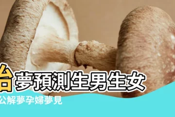 【孕期家人夢到生男孩子】胎夢預測生男生女 |周公解夢孕婦夢見生男孩是什麼意思孕婦做夢夢到生 |孕婦夢見自己生男孩 |