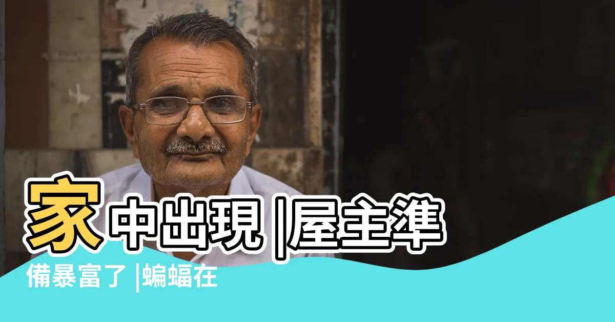 【家中蝙蝠】家中出現 |屋主準備暴富了 |蝙蝠在我家怎麼辦 |