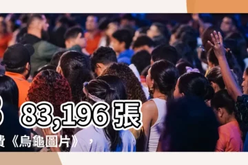 【烏龜圖片】383,196 張免費《烏龜圖片》，隨時探索！