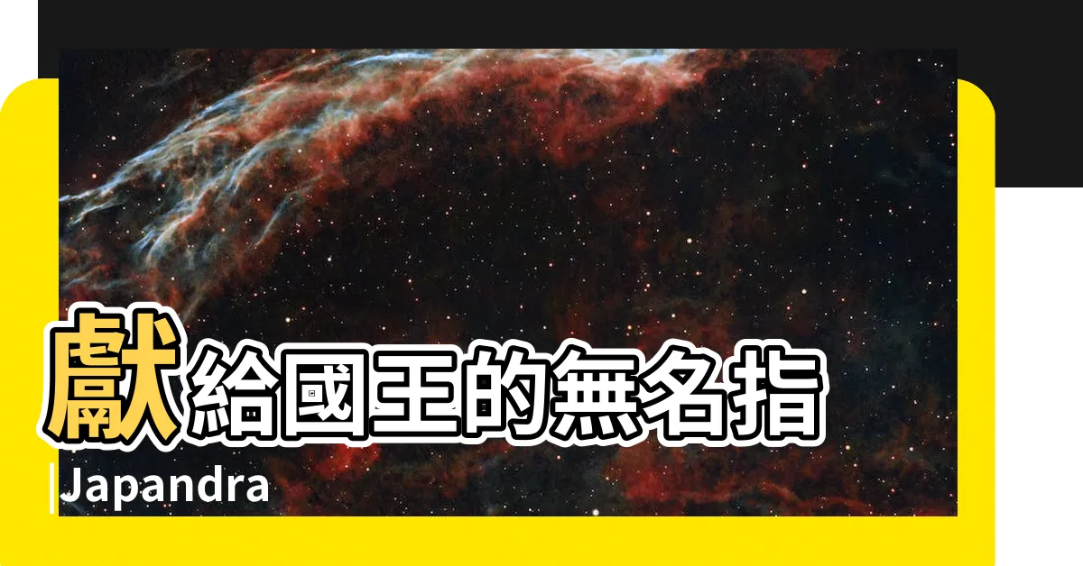 【國王的無名指戒指】獻給國王的無名指 |Japandrama |獻給國王的無名指 |