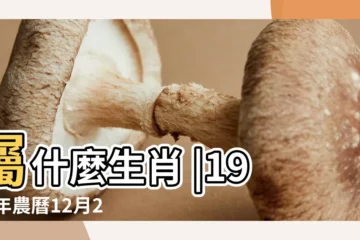 【1988年2月7日農曆是多少號】屬什麼生肖 |1987年農曆12月20號是陽曆幾號 |1988年2月7日農曆多少號 |