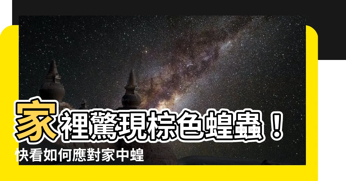 【家裡有蝗蟲】家裡驚現棕色蝗蟲！快看如何應對家中蝗蟲入侵的方法！