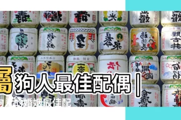 【73年屬狗的人什麼性格】屬狗人最佳配偶 |屬狗人的婚姻最佳配偶 |73年牛和82年狗的屬相合不合 |