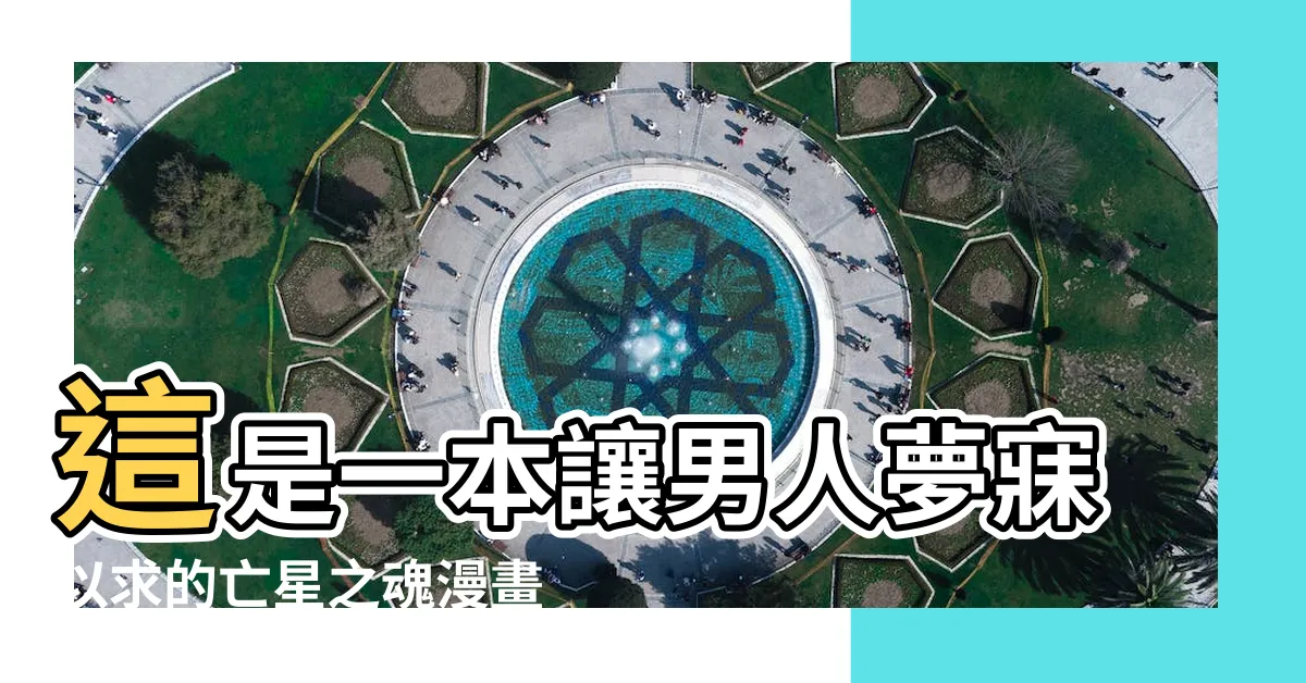 【亡星之魂漫畫】這是一本讓男人夢寐以求的亡星之魂漫畫