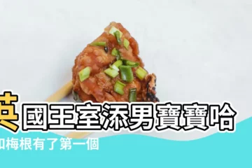 【2017年9月19日生孩子】英國王室添男寶寶哈里和梅根有了第一個孩子 |是什麼星座 |是什麼星座 |