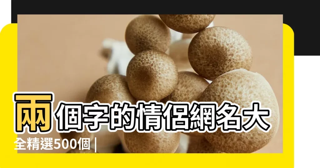 兩個字的情侶網名大全精選500個 |情侶網名兩個字的簡單 |兩個字的情侶網名唯美 |【簡單唯美情侶名字兩個字】