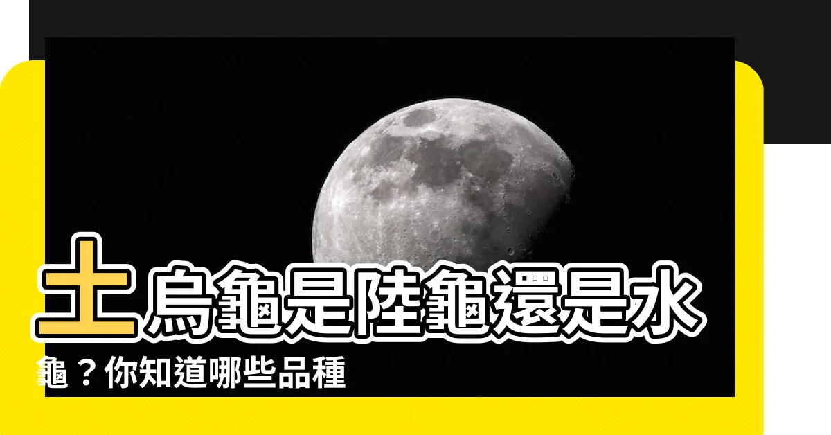 【土烏龜是】土烏龜是陸龜還是水龜？你知道哪些品種？原來牠們還能避鼠！
