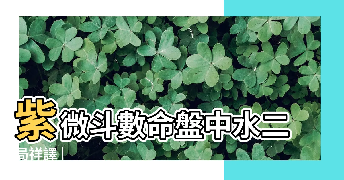 【水二局的人】紫微斗數命盤中水二局祥譯 |