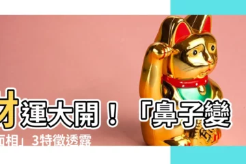 【鼻子變大面相】財運大開！「鼻子變大面相」3特徵透露你命帶貴人