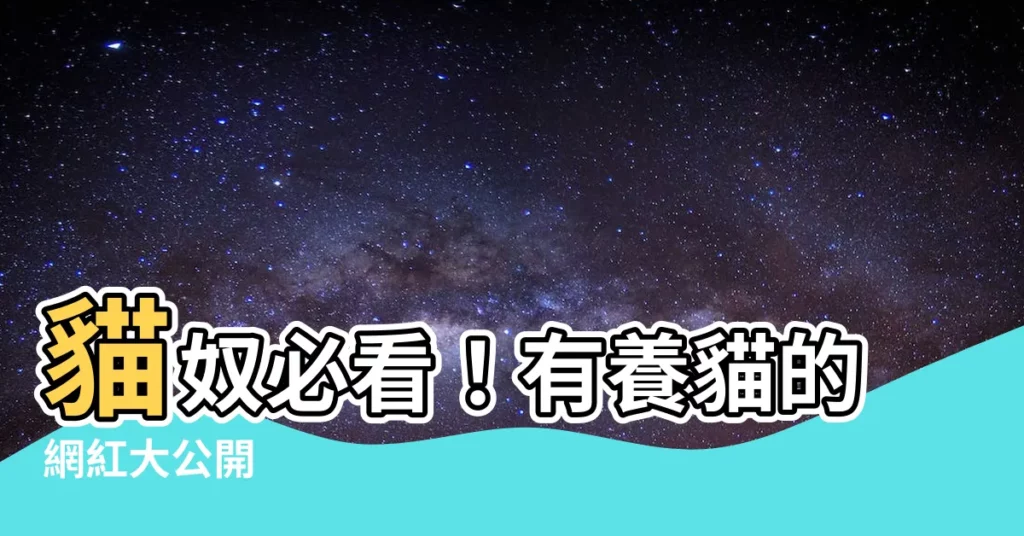 【有養貓的網紅】貓奴必看！有養貓的網紅大公開