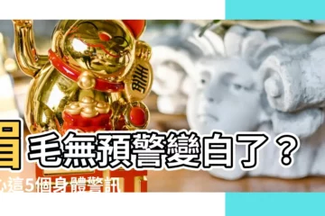 【眉毛變白】眉毛無預警變白了？小心這5個身體警訊！