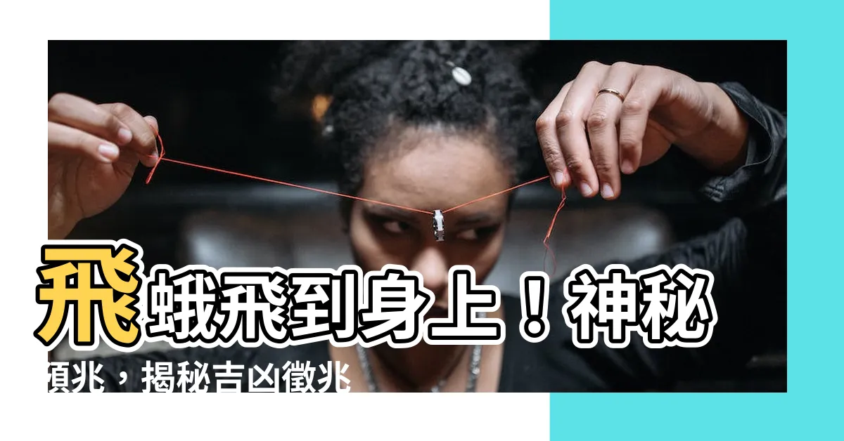 【蛾飛到身上】飛蛾飛到身上！神秘預兆，揭秘吉凶徵兆！