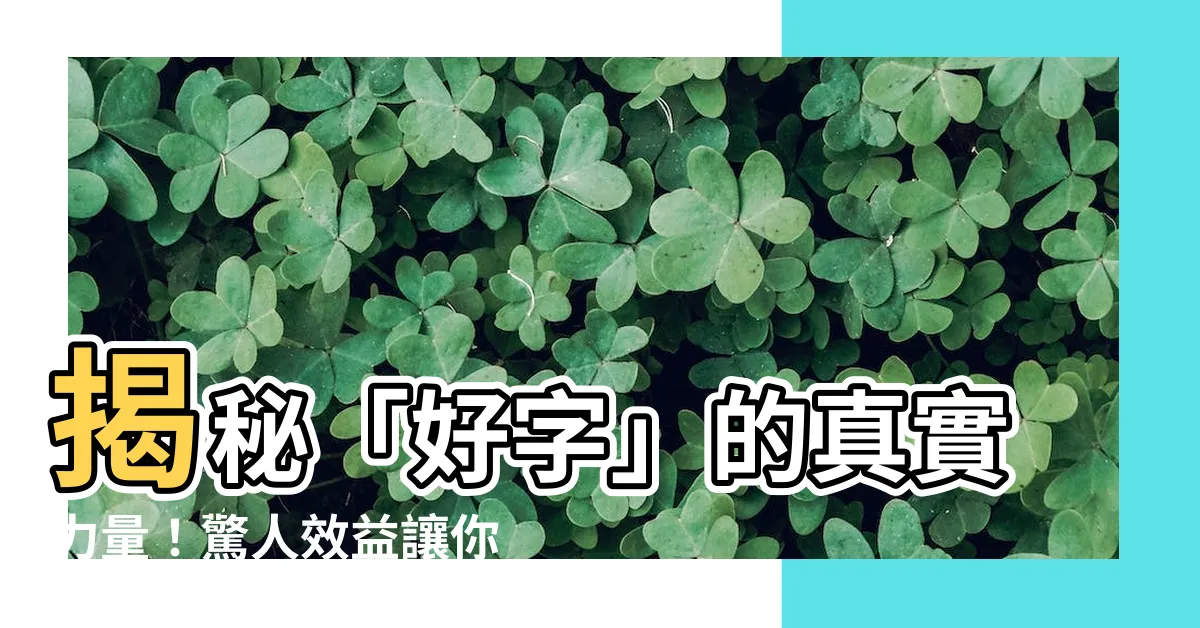 【好 字】揭秘「好字」的真實力量！驚人效益讓你目瞪口呆！