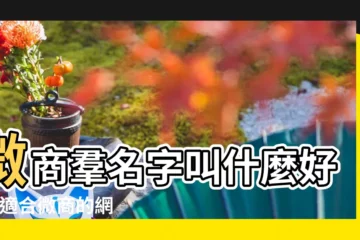 【微商好聽的名字】微商羣名字叫什麼好聽 |適合微商的網名 |微商建羣名字大全集 |