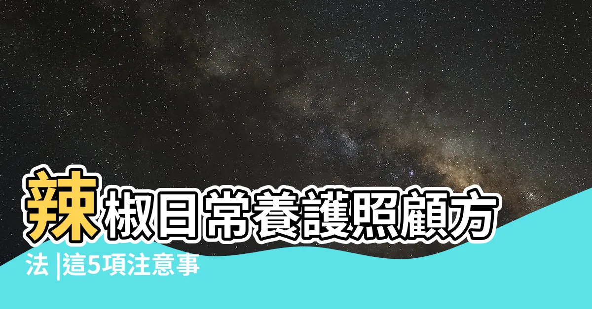 【辣椒種植注意事項】辣椒日常養護照顧方法 |這5項注意事項你做到了嗎 |作物栽培管理 |