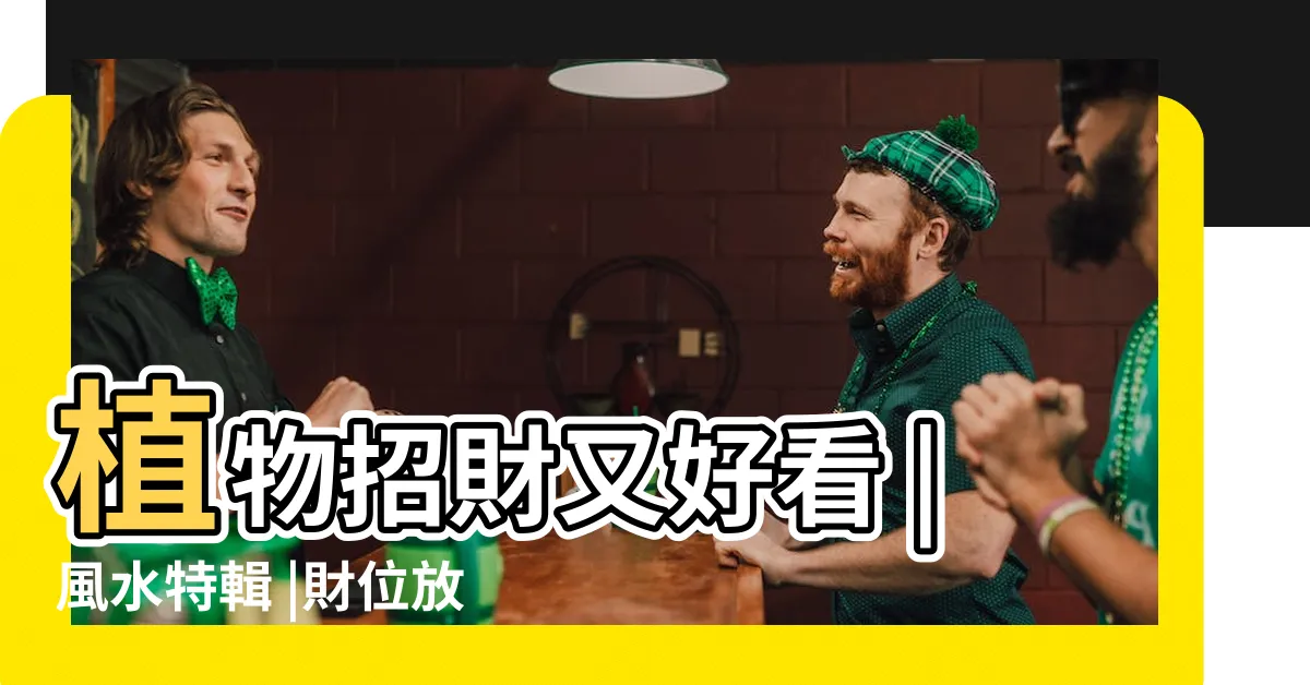 【財位擺飾】植物招財又好看 |風水特輯 |財位放什麼 |
