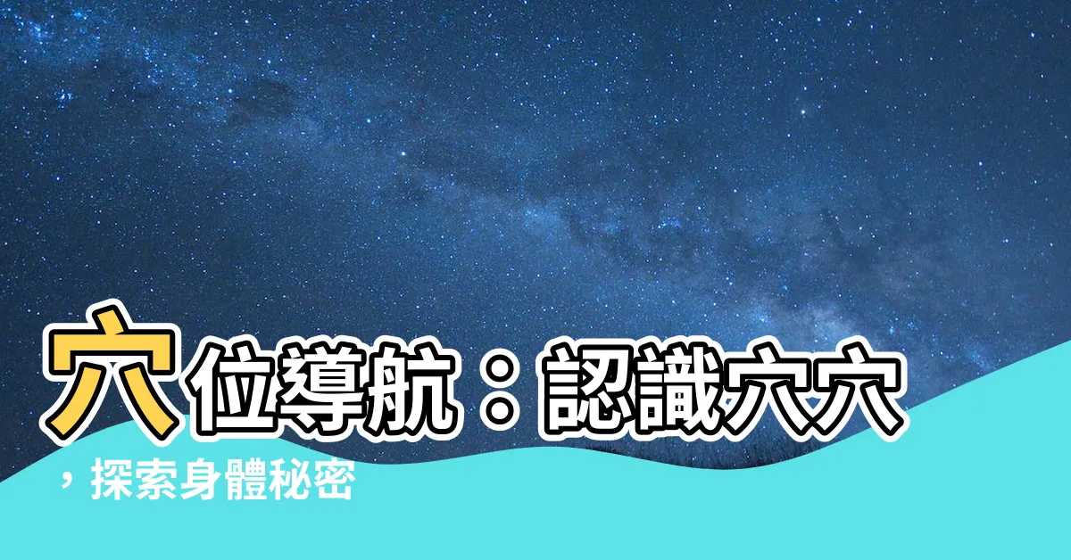 【穴穴照】穴位導航：認識穴穴，探索身體秘密