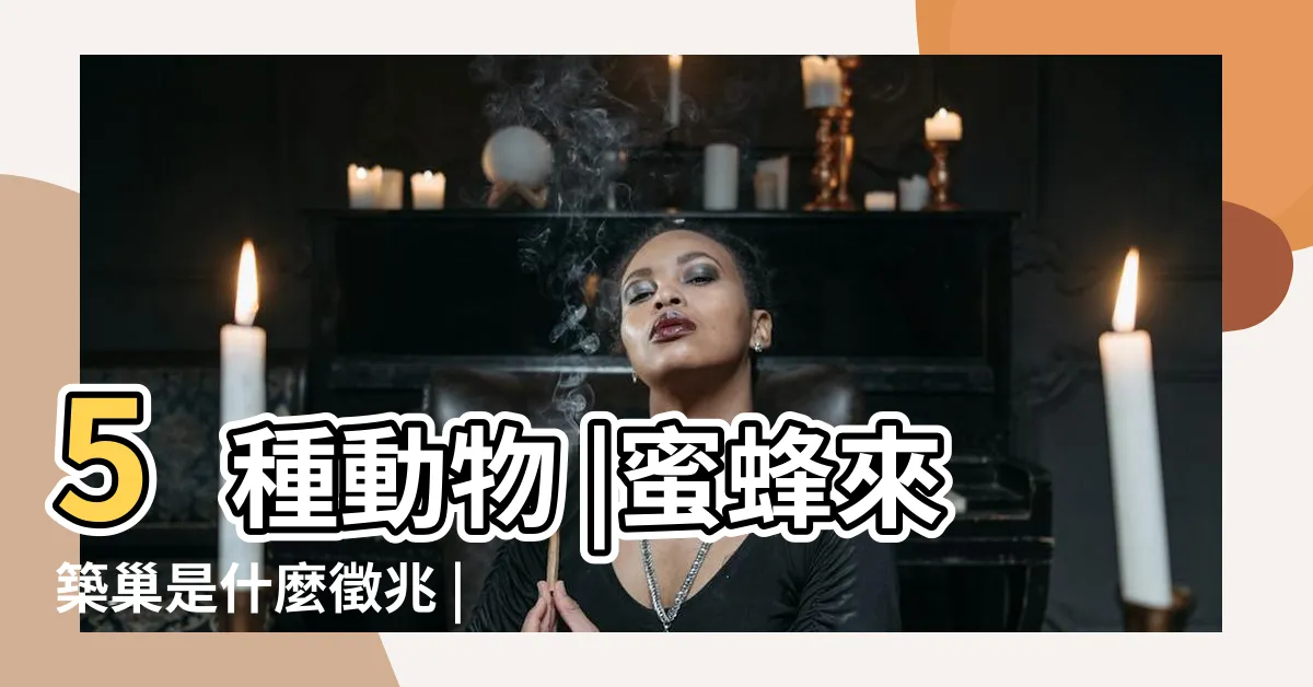 【家中蜜蜂築巢】5種動物 |蜜蜂來築巢是什麼徵兆 |壁虎帶財 |