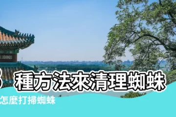 【房間蜘蛛網怎麼清理】3種方法來清理蜘蛛網 |怎麼打掃蜘蛛網 |簡單3招擊退蜘蛛 |