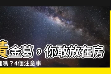 【黃金葛可以放房間嗎】黃金葛，你敢放在房間裡嗎？4個注意事項，不可不知！