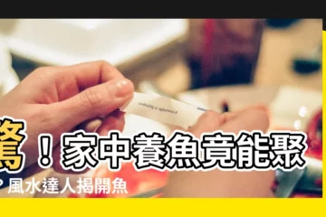 【家中養魚】驚！家中養魚竟能聚財？風水達人揭開魚缸擺放6大重點