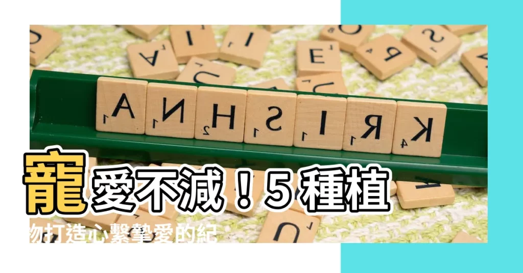 【適合盆葬的植物】寵愛不減！5 種植物打造心繫摯愛的紀念盆栽