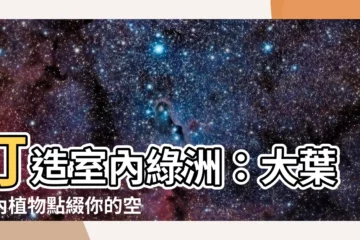 【大葉室內植物】打造室內綠洲：大葉室內植物點綴你的空間