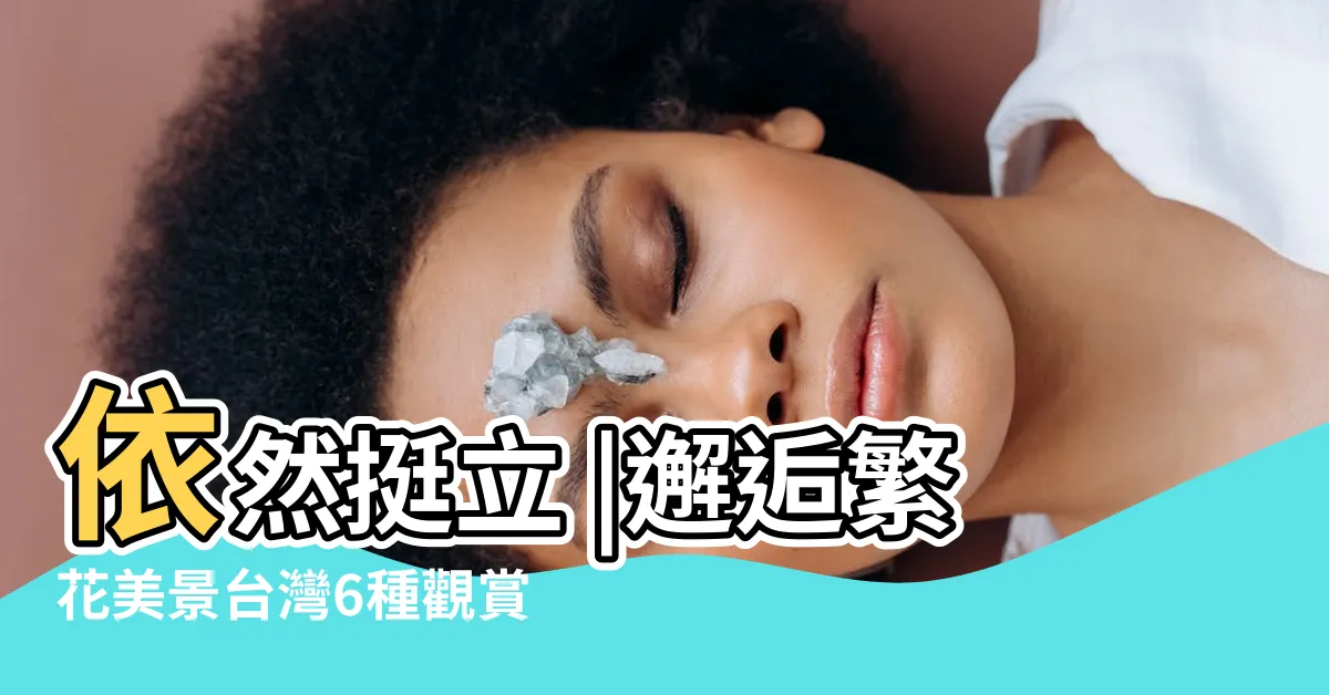 【開花的樹種】依然挺立 |邂逅繁花美景台灣6種觀賞開花樹木介紹 |雖未到開花時節 |