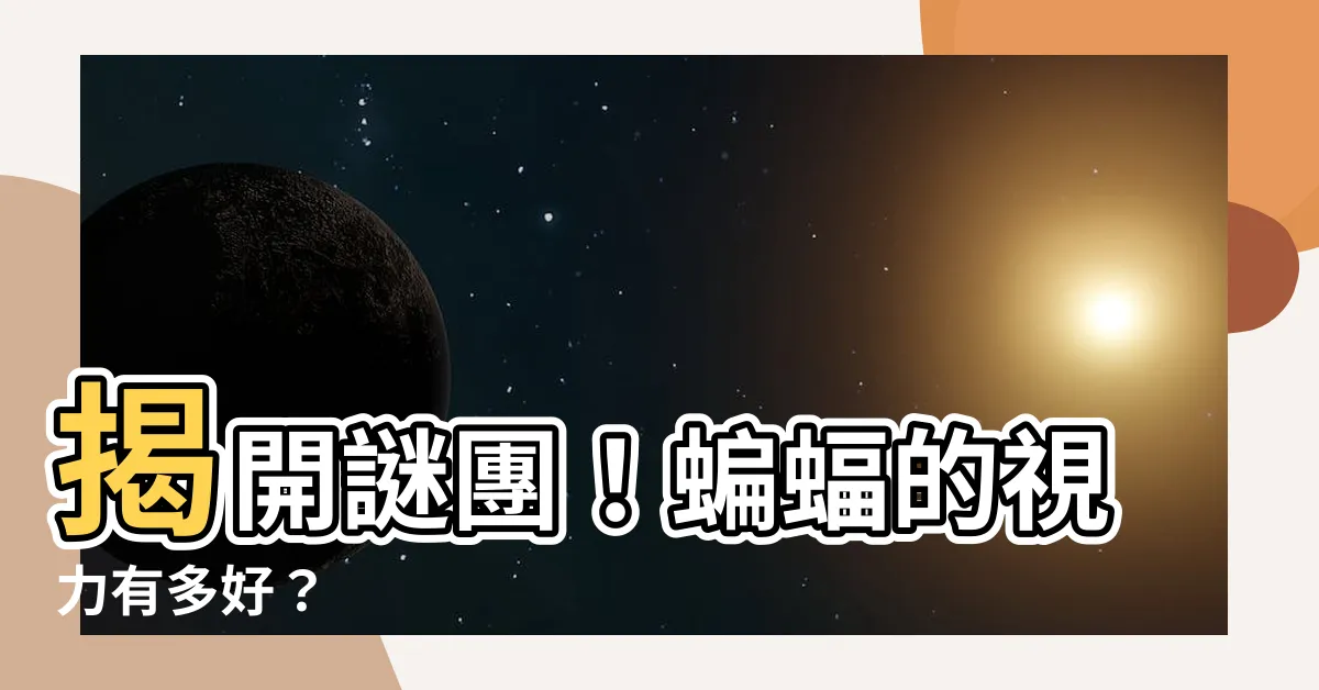 【蝙蝠視力】揭開謎團！蝙蝠的視力有多好？