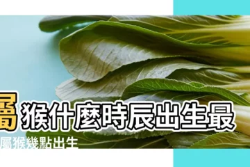 【屬猴人生於什麼時辰好】屬猴什麼時辰出生最好 |屬猴幾點出生最好生肖猴什麼時辰出生好 |屬猴人幾點出生的最好 |