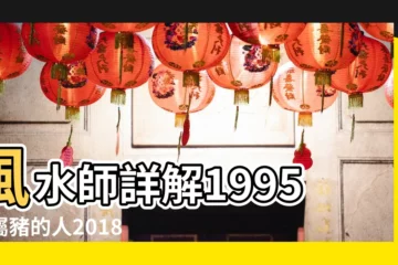 【95年屬豬2018每月運勢】風水師詳解1995年屬豬的人2018年全年1至12月運勢 |1995年屬豬的人2018年運程 |1995年屬豬的人2018年運程 |