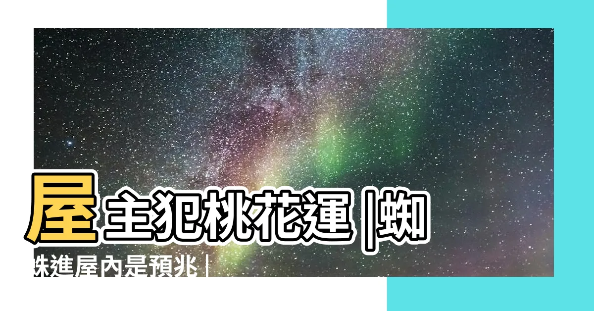 【房間出現蜘蛛】屋主犯桃花運 |蜘蛛進屋內是預兆 |卧室牆角結網 |