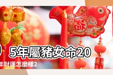 【95年屬豬的女生事業】95年屬豬女命2023年財運怎麼樣28歲兔年事業運 |屬豬女事業狀況如何 |95年屬豬女事業方向 |