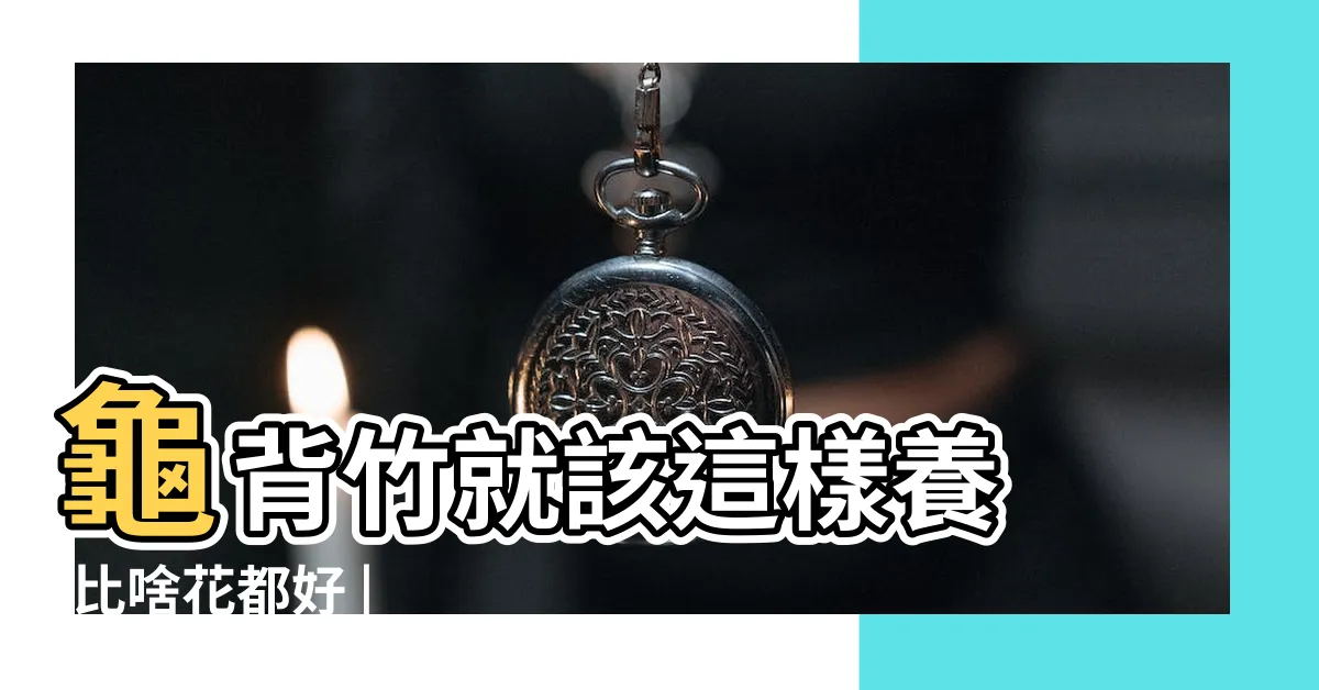 【背竹】龜背竹就該這樣養 |比啥花都好 |