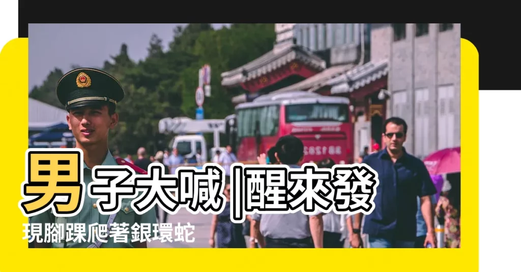 男子大喊 |醒來發現腳踝爬著銀環蛇 |男子夢見皮帶纏腳 |【夢見一條小的銀環蛇爬進身上】