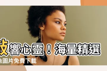 【木魚圖片】敲響心靈！海量精選木魚圖片免費下載