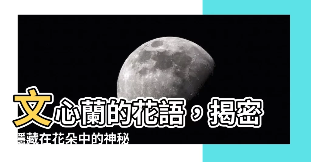 【文心蘭 花語】文心蘭的花語，揭密隱藏在花朵中的神秘情意