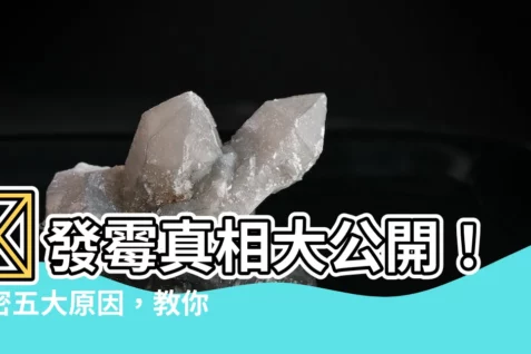 【發黴 原因】😱發黴真相大公開！揭密五大原因，教你輕鬆防黴！😱