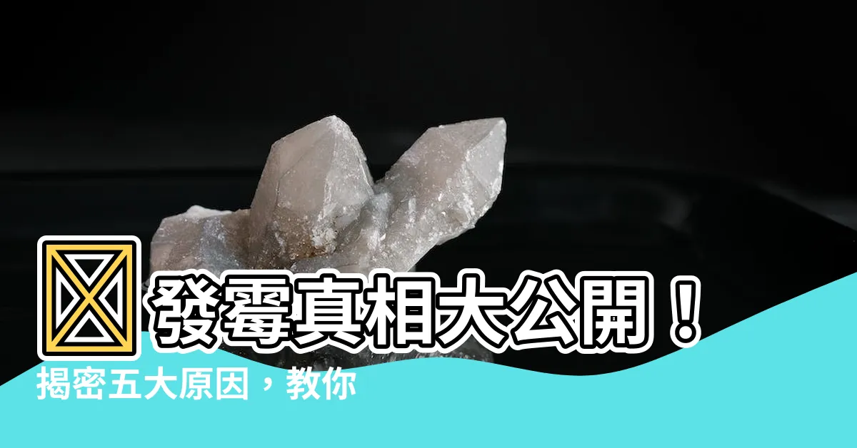 【發黴 原因】😱發黴真相大公開!揭密五大原因,教你輕鬆防黴!😱