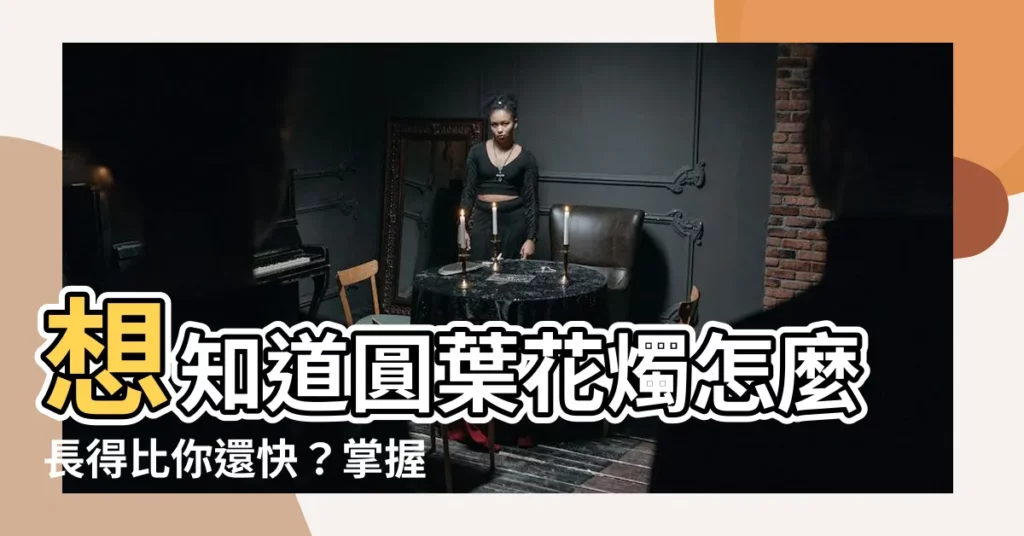 【圓葉花燭生長速度】想知道圓葉花燭怎麼長得比你還快？掌握它的生長秘密！