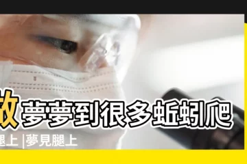 【夢見好多蚯蚓纏在腿上】做夢夢到很多蚯蚓爬到腿上 |夢見腿上有好多蚯蚓 |夢到蚯蚓爬別人身上 |