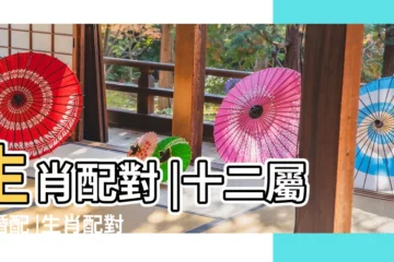 【12生肖姓名配對查詢】生肖配對 |十二屬相婚配 |生肖配對打分 |