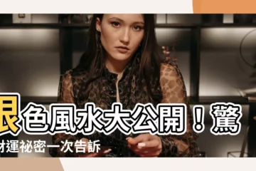 【銀色 風水】銀色風水大公開！驚人財運秘密一次告訴你