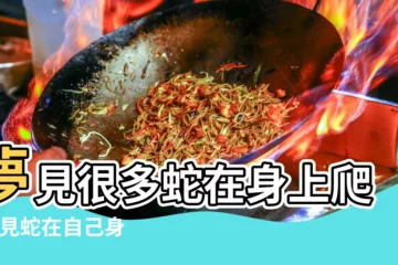 【男人夢到身上爬滿了蛇】夢見很多蛇在身上爬 |夢見蛇在自己身上爬是什麼意思 |做夢夢到蛇爬到自己身上是什麼意思 |